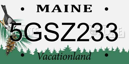 5GSZ233 Maine License Plate