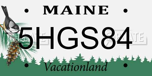 5HGS84 Maine License Plate