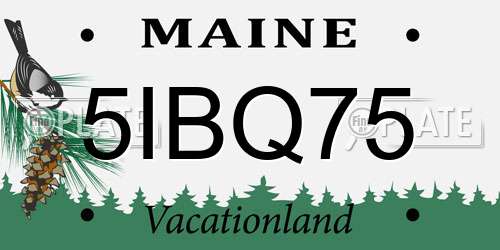 5IBQ75 Maine License Plate