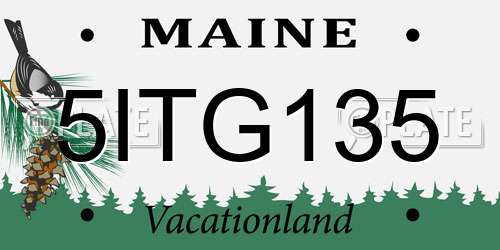 5ITG135 Maine License Plate