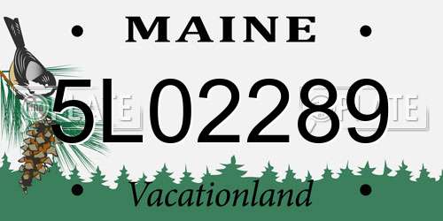 5L02289 Maine License Plate