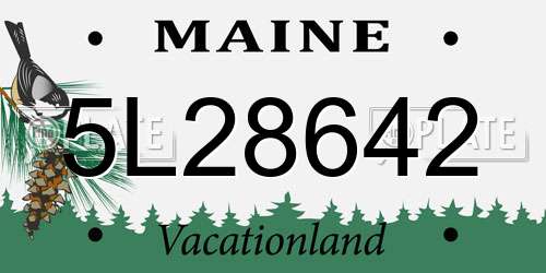 5L28642 Maine License Plate