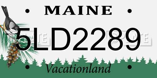 5LD2289 Maine License Plate