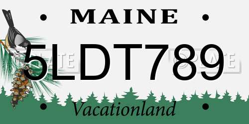 5LDT789 Maine License Plate