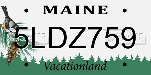 5LDZ759 Maine License Plate