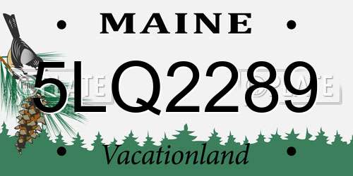5LQ2289 Maine License Plate