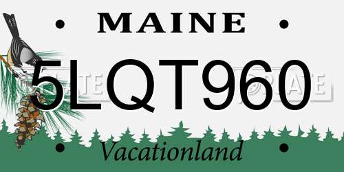 5LQT960 Maine License Plate