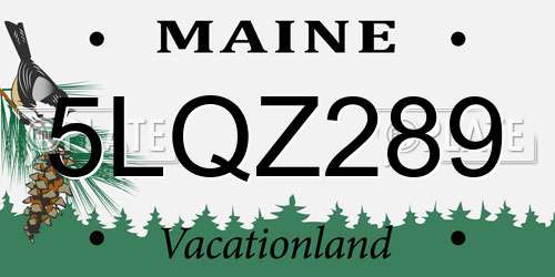 5LQZ289 Maine License Plate