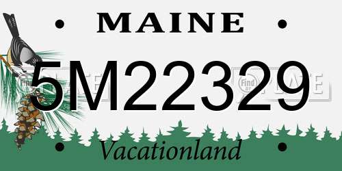 5M22329 Maine License Plate