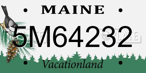 5M64232 Maine License Plate