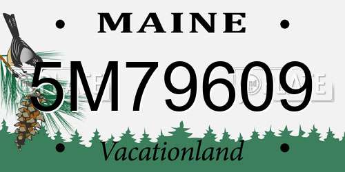 5M79609 Maine License Plate