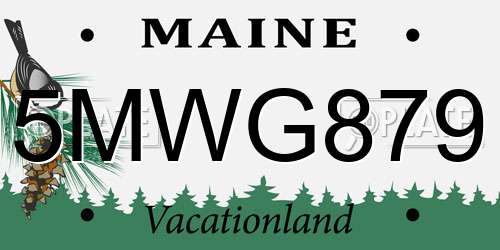 5MWG879 Maine License Plate