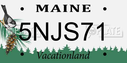 5NJS71 Maine License Plate