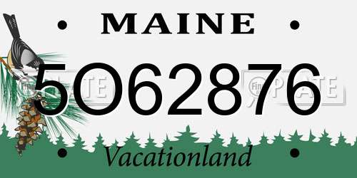 5O62876 Maine License Plate