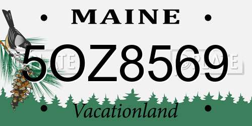 5OZ8569 Maine License Plate