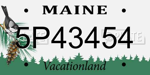 5P43454 Maine License Plate