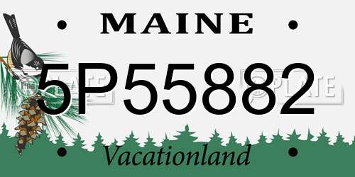 5P55882 Maine License Plate