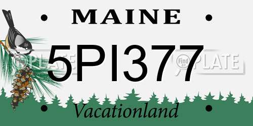 5PI377 Maine License Plate