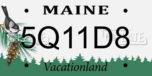 5Q11D8 Maine License Plate