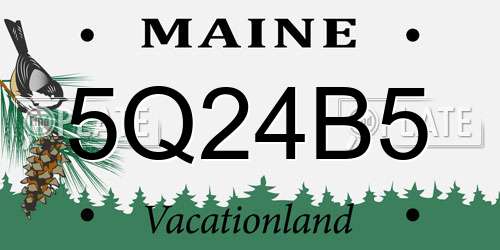 5Q24B5 Maine License Plate