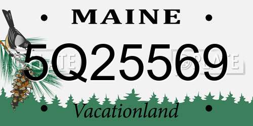 5Q25569 Maine License Plate