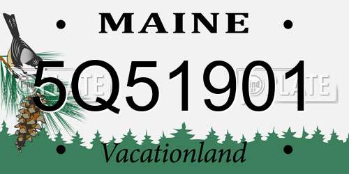 5Q51901 Maine License Plate