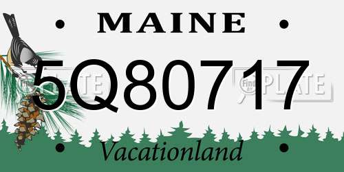 5Q80717 Maine License Plate