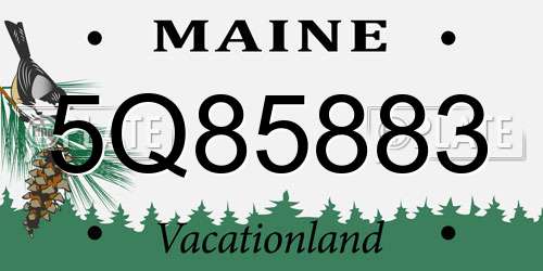 5Q85883 Maine License Plate