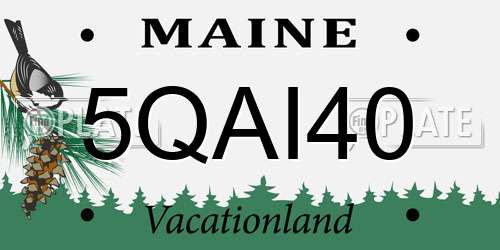 5QAI40 Maine License Plate