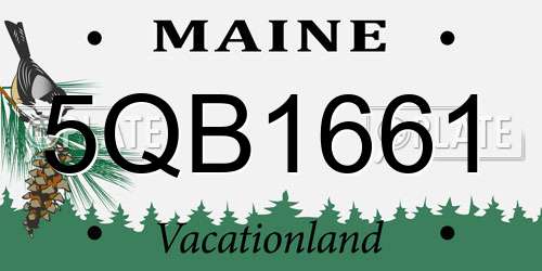 5QB1661 Maine License Plate