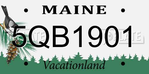 5QB1901 Maine License Plate