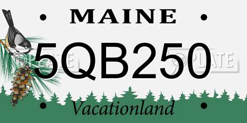 5QB250 Maine License Plate