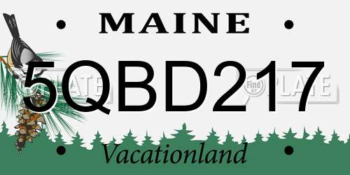 5QBD217 Maine License Plate