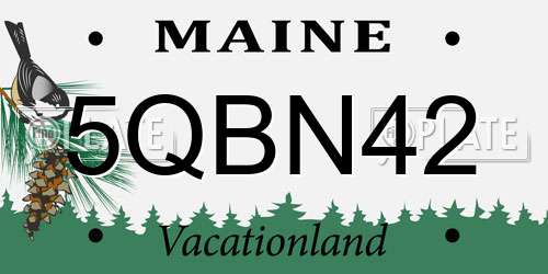 5QBN42 Maine License Plate