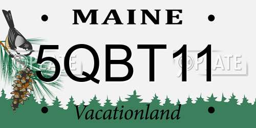5QBT11 Maine License Plate