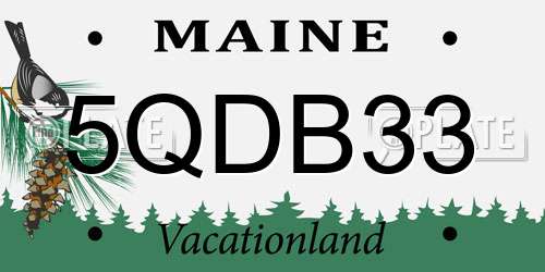 5QDB33 Maine License Plate