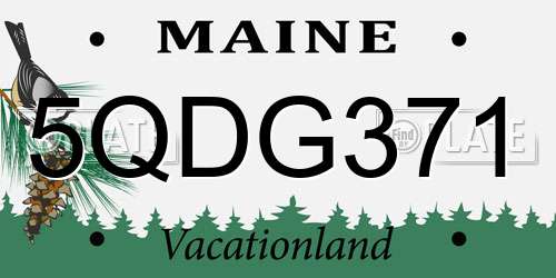 5QDG371 Maine License Plate