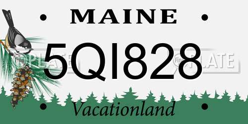 5QI828 Maine License Plate