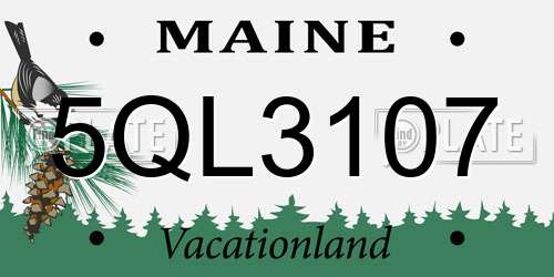 5QL3107 Maine License Plate