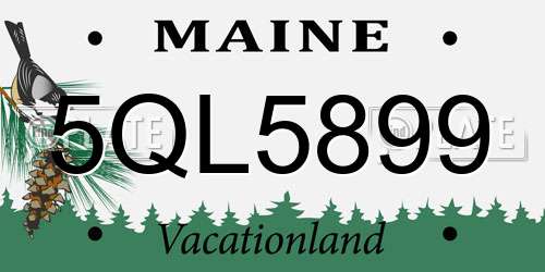5QL5899 Maine License Plate