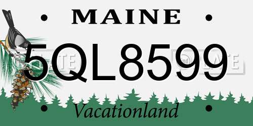 5QL8599 Maine License Plate