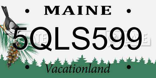 5QLS599 Maine License Plate