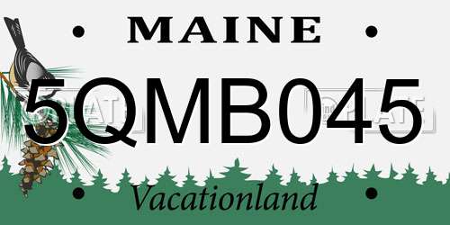 5QMB045 Maine License Plate