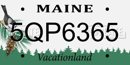 5QP6365 Maine License Plate