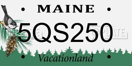 5QS250 Maine License Plate
