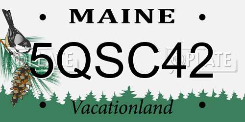 5QSC42 Maine License Plate