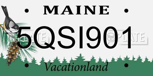 5QSI901 Maine License Plate