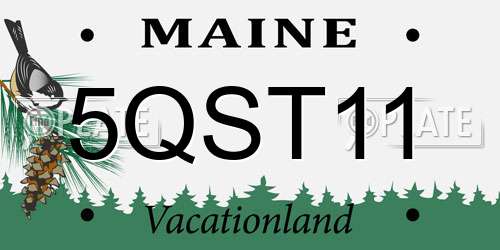 5QST11 Maine License Plate