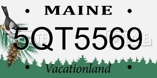 5QT5569 Maine License Plate