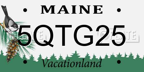5QTG25 Maine License Plate